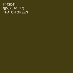 #443D11 - Thatch Green Color Image